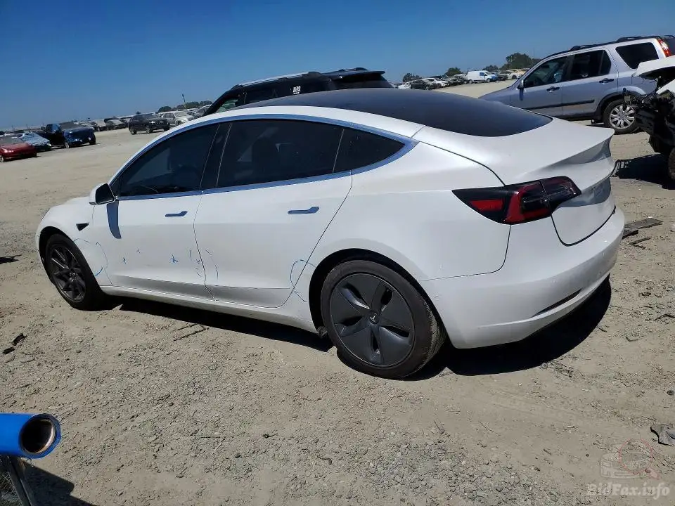 Tesla Model 3 2020 — фото 2 з 7