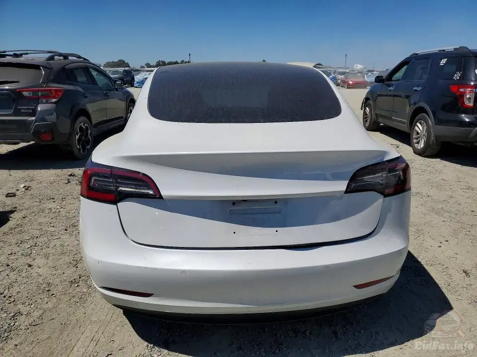 Tesla Model 3 2020 — фото 6 з 7
